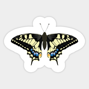 A swallowtail butterfly spreads its wings Sticker